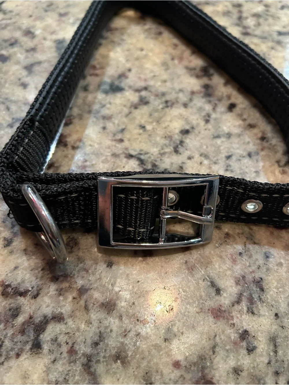 Black Dog Leash and Collar Set - Durable Nylon Lead